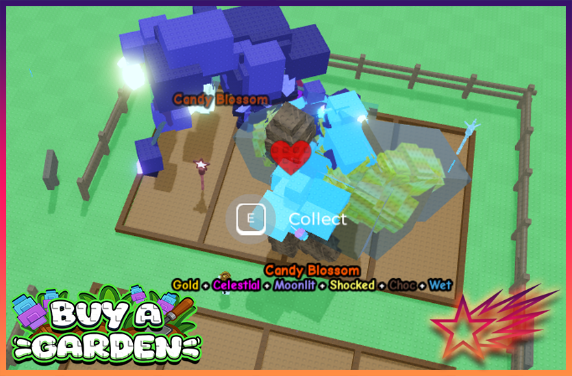 2 CANDY BLOSSOM TREES & 2 MOON MANGO TREES