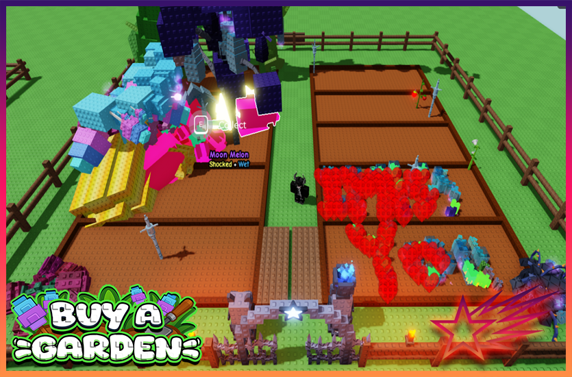 2 CANDY BLOSSOM TREES & MOON MANGO TREE